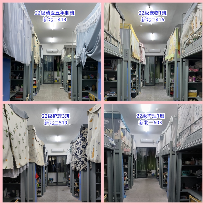 1705842594643660.jpg 生物与健康系4.jpg